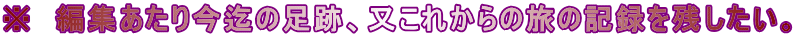 @ҏW荡̑ՁAꂩ̗̋L^cB
